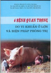 6 bệnh quan trọng do vi khuẩn ở lợn và biện pháp phòng trị