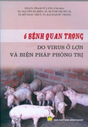 6 bệnh quan trọng do virus ở lợn và biện pháp phòng trị