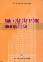 Sản xuất cây trồng hiệu quả cao