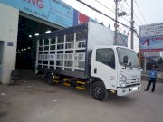 ISUZU Forward NPR85K (Thùng bửng nâng)