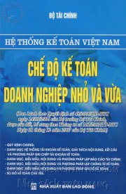 Hệ thống kế toán Việt Nam - Chế độ kế toán doanh nghiệp nhỏ và vừa