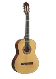 Guitar Acoustic G88