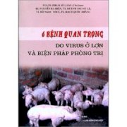  6 bệnh quan trọng do virus ở lợn và biện pháp phòng trị