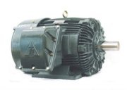 Motor mặt bích TECO AEVDXU 2P-3HP