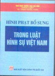 Hình phạt bổ sung trong luật hình sự Việt Nam 