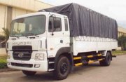 Hyundai HD250 2012 13 tấn