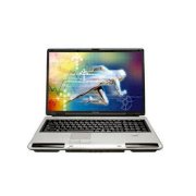 Toshiba Satelitte P105 (Intel Core 2 Duo T7200 2.0Ghz, 2GB RAM, 500GB HDD, VGA GMA 950, 17 inch, PC Dos)