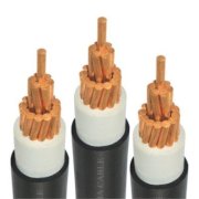 Cáp điện Trường Phú 4x10 (Cu/XLPE/PVC)