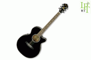 Guitar Ibaner AEG8E