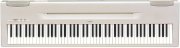 Piano điện P60
