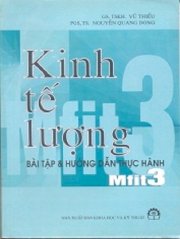 Kinh tế lượng: Bài tập và hướng dẫn thực hành Mfit3