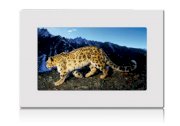 Khung ảnh kỹ thuật số Gadmei PF6020 Digital Photo Frame 6 inch