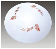 Ceiling Lights Anfaco Lighting AFC120 21W