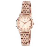 Đồng hồ AK Anne Klein Women's 10/9782RGRG Rosegold-Tone Link Bracelet Watch