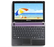 Gateway LT4005v-262G32 (001) (Intel Atom N2600 1.6GHz, 2GB RAM, 320GB HDD, VGA Intel GMA 3600, 10.1 inch, Free DOS)