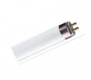 Bóng đèn huỳnh quang ánh sáng trắng Philips T8 40W