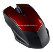 Mouse 4D (CWSG47850)