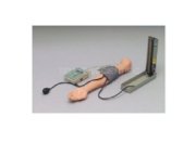 Mô hình huấn luyện đo huyết áp CAB026001