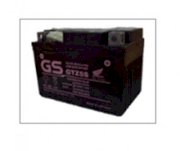Ắc quy xe máy GS GTZ25S 31500-GFM-B10