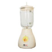 Máy xay sinh tố Bigsun BB-199N