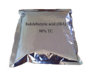 3 - Indolebutyric Acid C12H13NO2