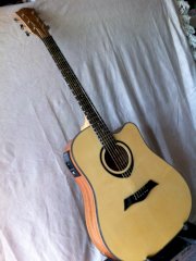 Aucoustic guitar L820-EQ