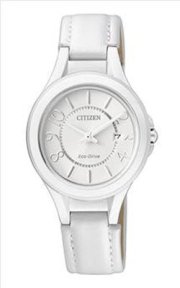 Đồng hồ đeo tay Citizen Eco-Drive FE1020-11B