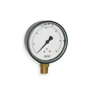 Pressure Gauge Wika Model 113.13 (Đồng hồ áp suất)
