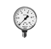 Pressure Gauge Wika Model 611.1 (Đồng hồ áp suất)