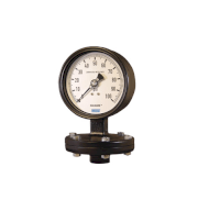 Pressure Gauge Wika Model 42X.12 (Đồng hồ áp suất)