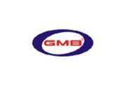Vòng bi ô tô tăng cam GMB GT10240 ( NTN JPU60-216+JF391 )