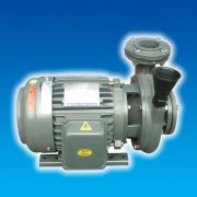 Bơm ly tâm dạng xoáy đầu gang Teco HVP3100-119 20