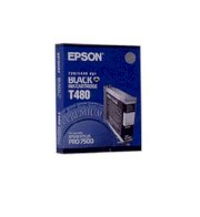 Epson T480011