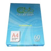 Giấy Bãi Bằng A4 ĐL 60 vỏ xanh (có tem)