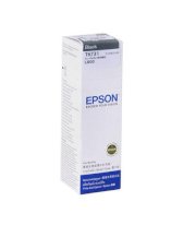 Epson T673100