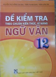 Đề kiểm tra theo chuẩn kiến thức kỹ năng Ngữ Văn 12