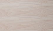 Ván MFC chống ẩm vân gỗ MS 9225 1830mm x 2440mm (Modern Maple)