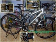 Xe đạp leo núi - Raleigh SC40