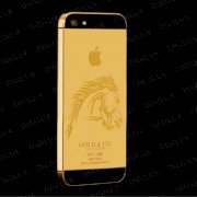 iPhone 5 vàng - Mã đáo thành công Digilux