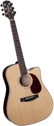 Guitar Takamine EG355SC-WR