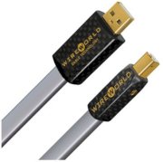 Dây tín hiệu Wire World Platinum Starlight USB A to B PSB 1.0M