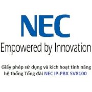 NEC LK-SYS-3RD-CTI-CLIENT-LIC 3rd Party CTI License