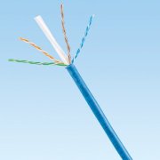 PANDUIT UTP Cat 6 Cable Reel 1000 Ft/Box-CM RATED (NUC6C04BU-C)