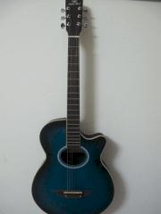Đàn Guitar Acoustic Maple Leaf MSG-D39CG/BLS
