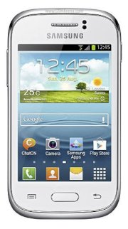 Samsung Galaxy Young S6310 (GT-S6310)