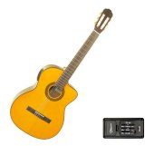 Takamine ED30C