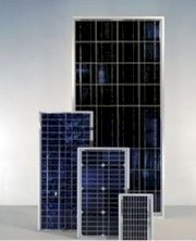 Pin năng lượng mặt trời CTC 50Wp
