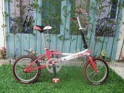 Xe đạp LEIJIES -FL18