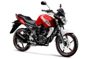 Yamaha FZS 2013 Đỏ Trắng