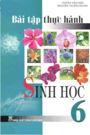 Bài tập thực hành sinh học 6